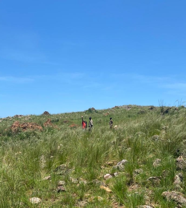 WhatsApp Image 2024-07-15 at 4.02.05 PM 2.jpeg